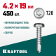 Нержавеющие саморезы DS-P с полукруглой головкой, 19 х 4.2 мм, 450 шт, KRAFTOOL