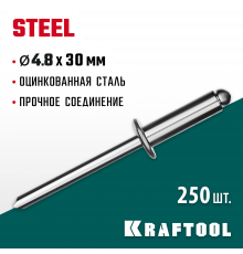 Стальные заклепки Steel, 4.8 х 30 мм, 250 шт, KRAFTOOL