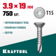 Нержавеющие саморезы DS-C с потайной головкой, 19 х 3.9 мм, 750 шт, KRAFTOOL