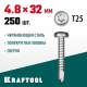 Нержавеющие саморезы DS-P с полукруглой головкой, 32 х 4.8 мм, 250 шт, KRAFTOOL